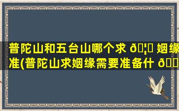 普陀山和五台山哪个求 🦆 姻缘准(普陀山求姻缘需要准备什 💮 么)